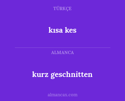 kısa kes - kurz geschnitten
