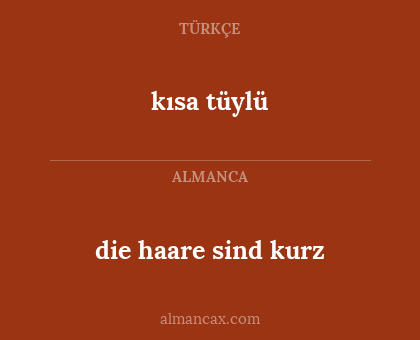 kısa tüylü - die haare sind kurz