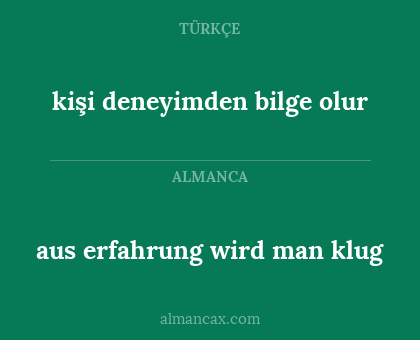 aus erfahrung wird man klug - kişi deneyimden bilge olur