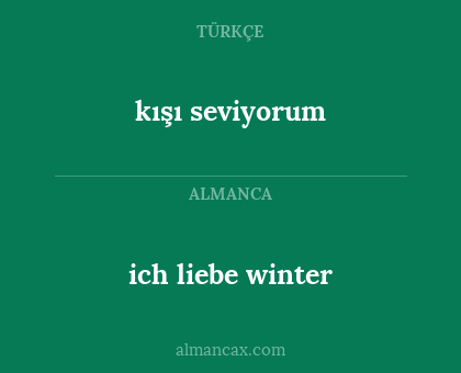 ich liebe winter - kışı seviyorum