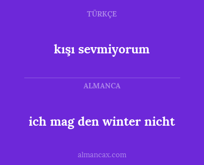 ich mag den winter nicht - kışı sevmiyorum