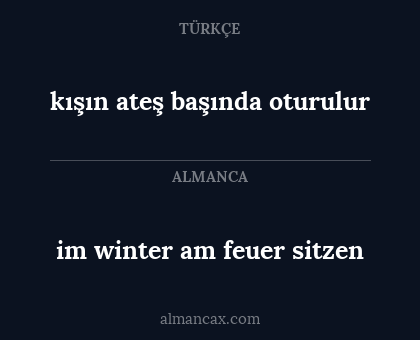 im winter am feuer sitzen - kışın ateş başında oturulur