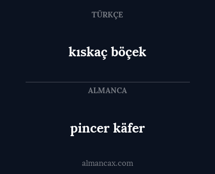 pincer käfer - kıskaç böçek