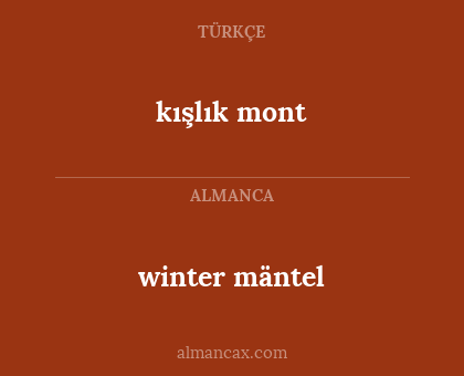 winter mäntel - kışlık mont