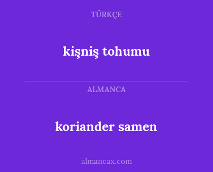 kişniş tohumu - koriander samen