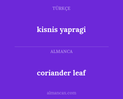kisnis yapragi - coriander leaf