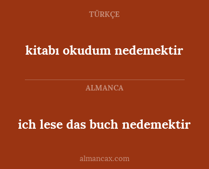 ich lese das buch nedemektir - kitabı okudum nedemektir