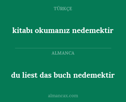 du liest das buch nedemektir - kitabı okumanız nedemektir