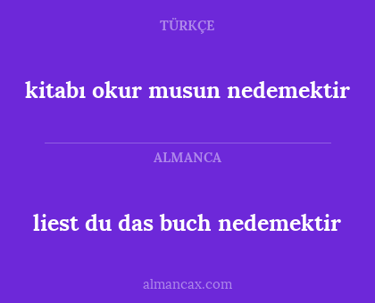 liest du das buch nedemektir - kitabı okur musun nedemektir