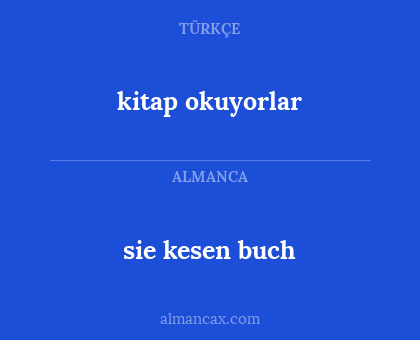 sie kesen buch - kitap okuyorlar
