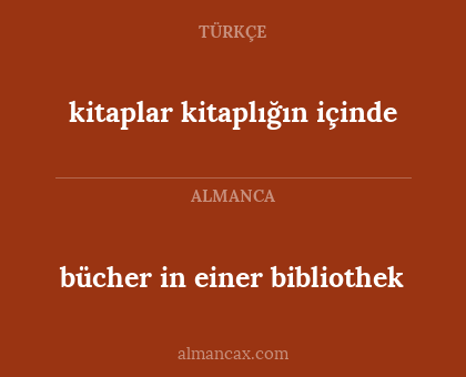 bücher in einer bibliothek - kitaplar kitaplığın içinde