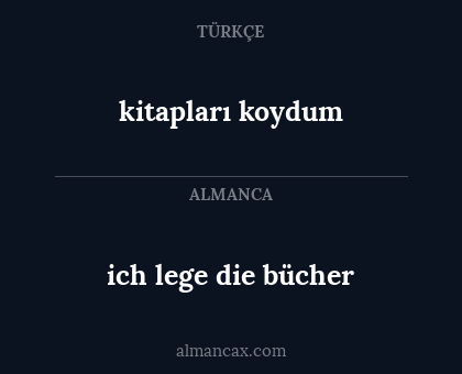 kitapları koydum - ich lege die bücher