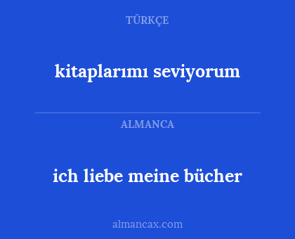 ich liebe meine bücher - kitaplarımı seviyorum