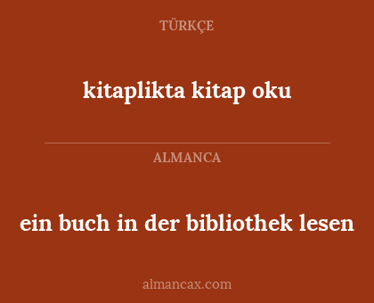 kitaplikta kitap oku - ein buch in der bibliothek lesen