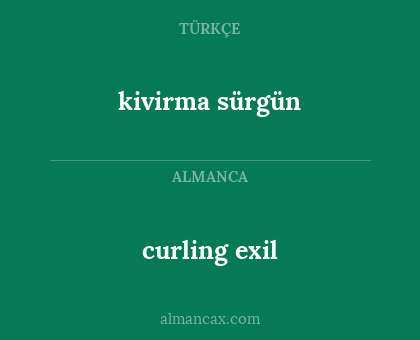kivirma sürgün - curling exil