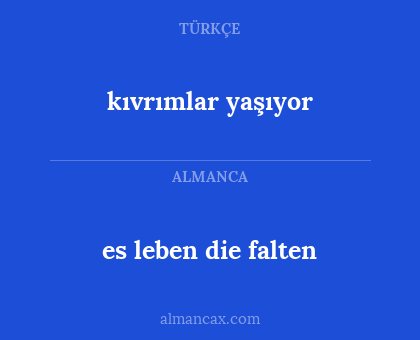 es leben die falten - kıvrımlar yaşıyor
