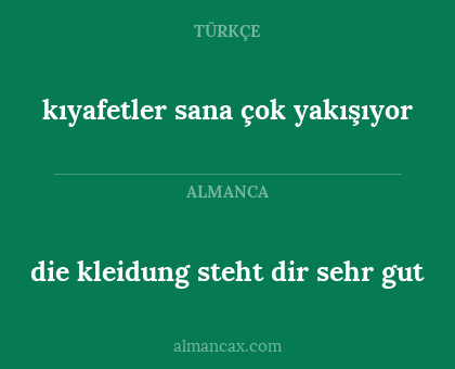 die kleidung steht dir sehr gut - kıyafetler sana çok yakışıyor