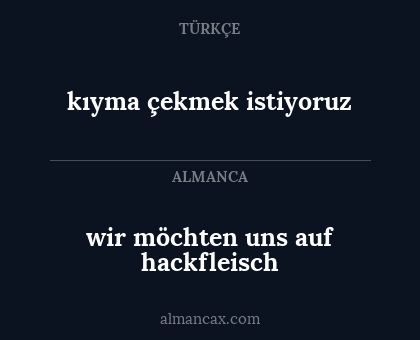 kıyma çekmek istiyoruz - wir möchten uns auf hackfleisch