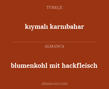 kıymalı karnıbahar - blumenkohl mit hackfleisch