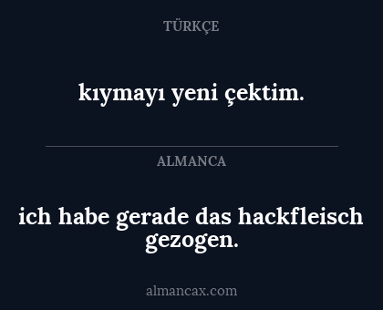 ich habe gerade das hackfleisch gezogen. - kıymayı yeni çektim.