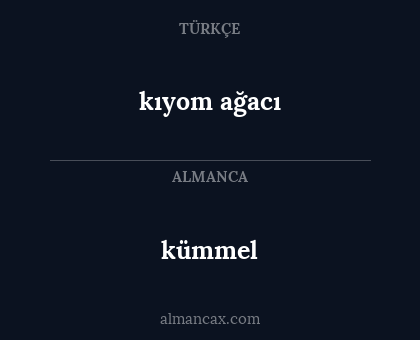 kümmel - kıyom ağacı