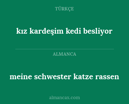 meine schwester katze rassen - kız kardeşim kedi besliyor