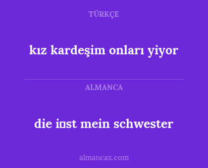 die i̇st mein schwester - kız kardeşim onları yiyor