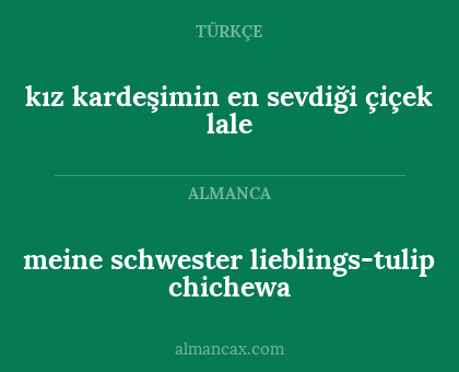 kız kardeşimin en sevdiği çiçek lale - meine schwester lieblings-tulip chichewa