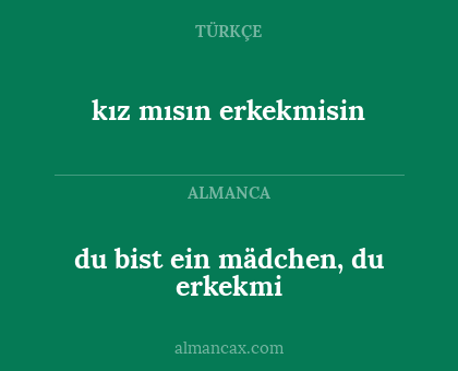 du bist ein mädchen, du erkekmi - kız mısın erkekmisin