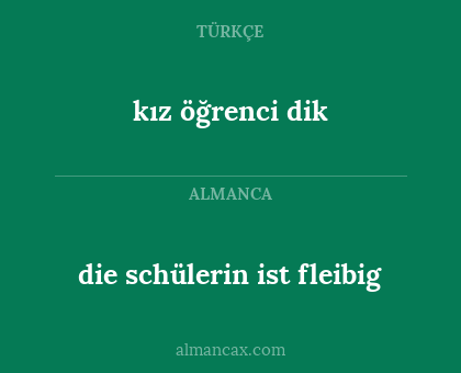 kız öğrenci dik - die schülerin ist fleibig