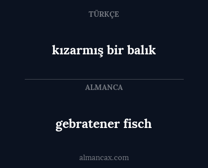 gebratener fisch - kızarmış bir balık