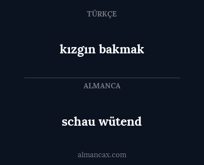 schau wütend - kızgın bakmak