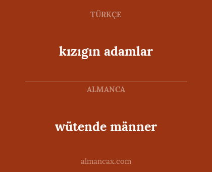 wütende männer - kızıgın adamlar