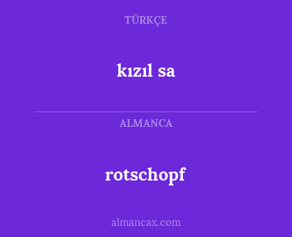 rotschopf - kızıl sa