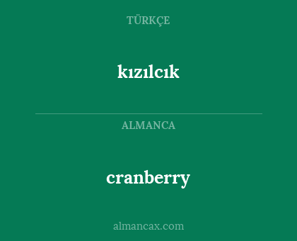 cranberry - kızılcık