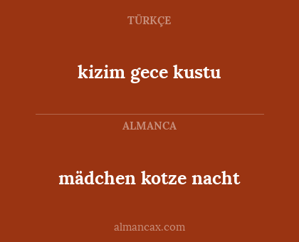 mädchen kotze nacht - kizim gece kustu