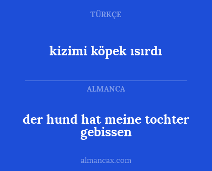 der hund hat meine tochter gebissen - kizimi köpek ısırdı