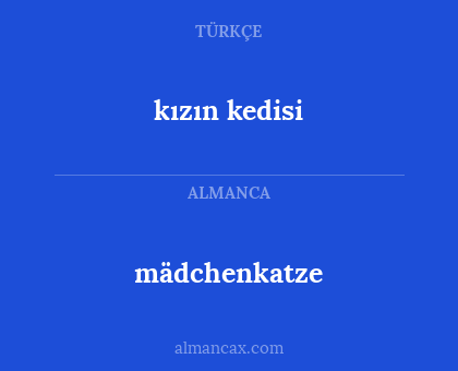 mädchenkatze - kızın kedisi