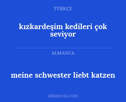 kızkardeşim kedileri çok seviyor - meine schwester liebt katzen