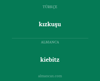 kiebitz - kızkuşu