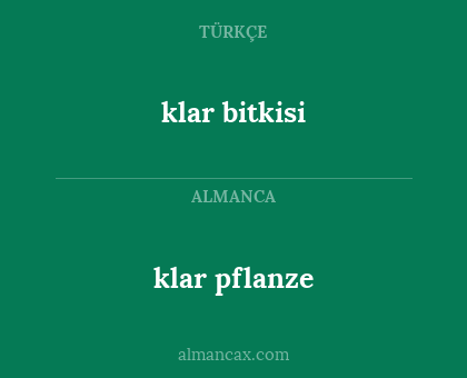 klar bitkisi - klar pflanze