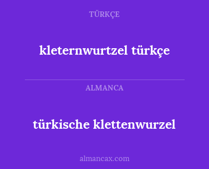 türkische klettenwurzel - kleternwurtzel türkçe
