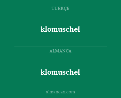 klomuschel - klomuschel
