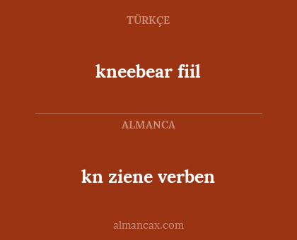 kn ziene verben - kneebear fiil