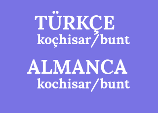 ko%C3%A7hisar%2Fbunt-kochisar%2Fbunt.png