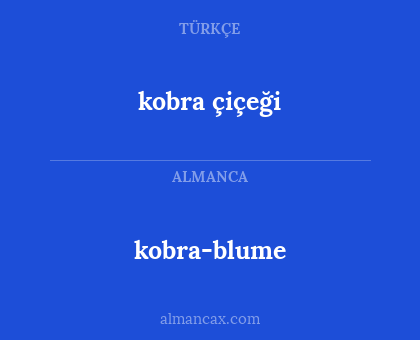 kobra çiçeği - kobra-blume