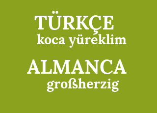 koca+y%C3%BCreklim-gro%C3%9Fherzig.png