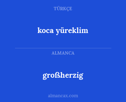 großherzig - koca yüreklim