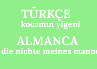 kocam%C4%B1n+yigeni-die+nichte+meines+mannes.png