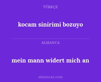 mein mann widert mich an - kocam sinirimi bozuyo